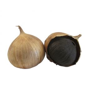 One-Headed Black Garlic