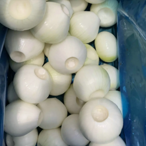 Peel and fill Onions with Nitrogen